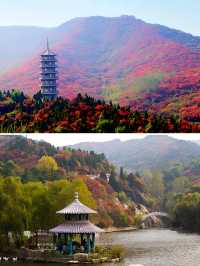濟南紅葉谷！如詩如畫，秋意盎然的童話世界！。