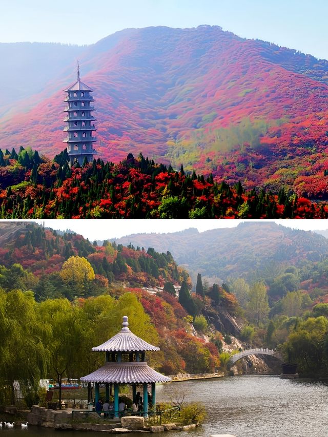濟南紅葉谷！如詩如畫，秋意盎然的童話世界！。