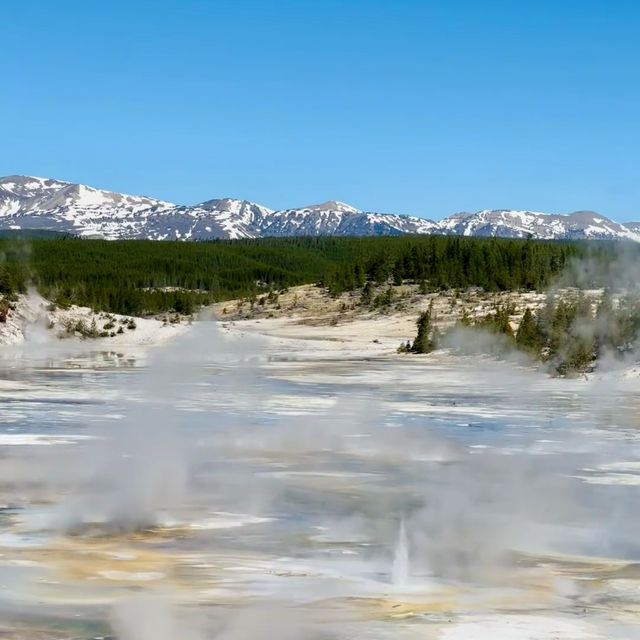 Yellowstone National Park 