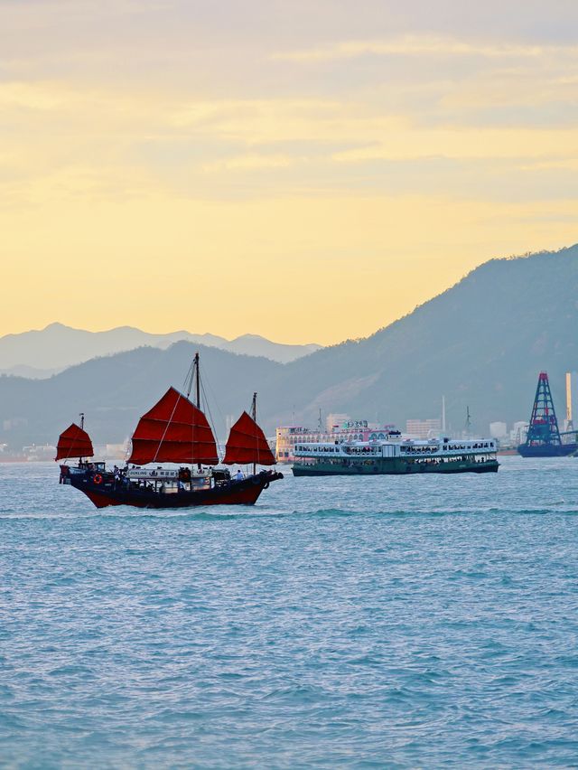 香港超貼地的遊覽方式 天星小輪遊玩攻略。