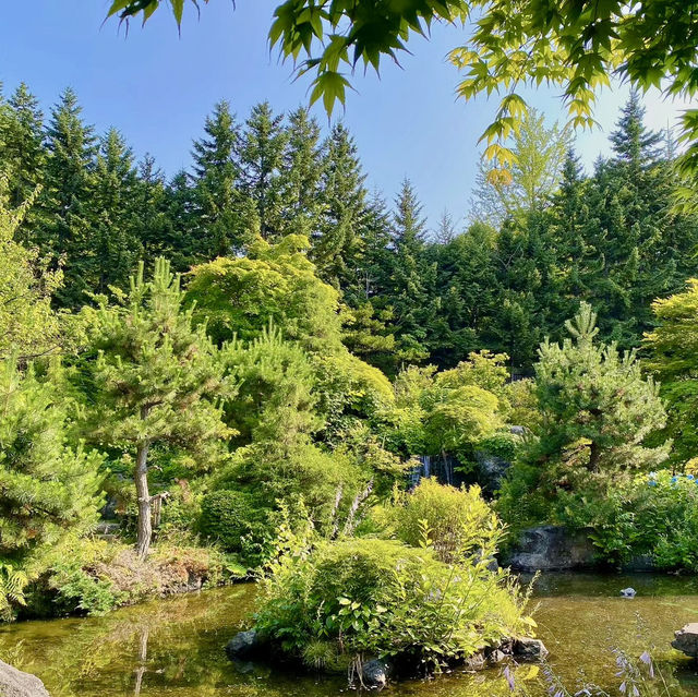 Tenjinyama Ryokuchi Park Japanese garden.