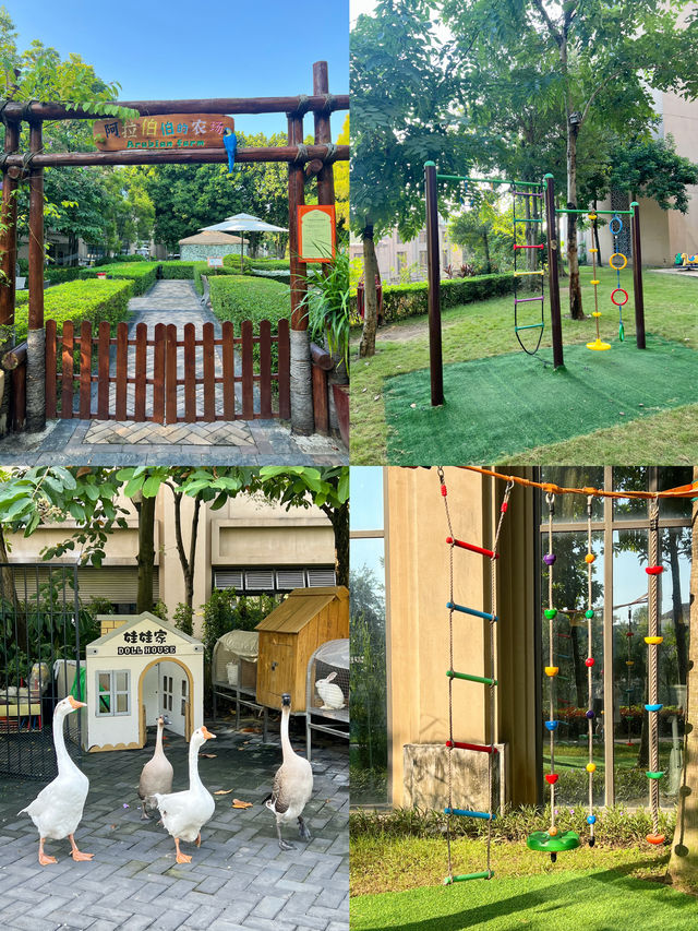 清遠獅子湖喜來登酒店｜揭開阿拉神燈神秘色彩的面紗。