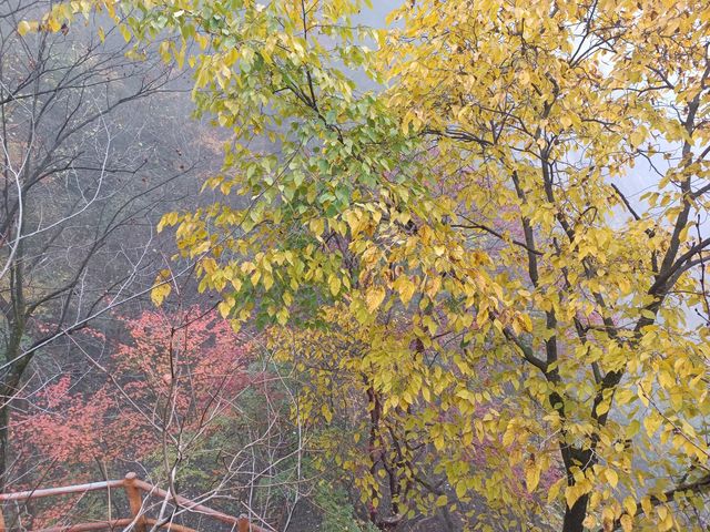 祥峪森林公園。