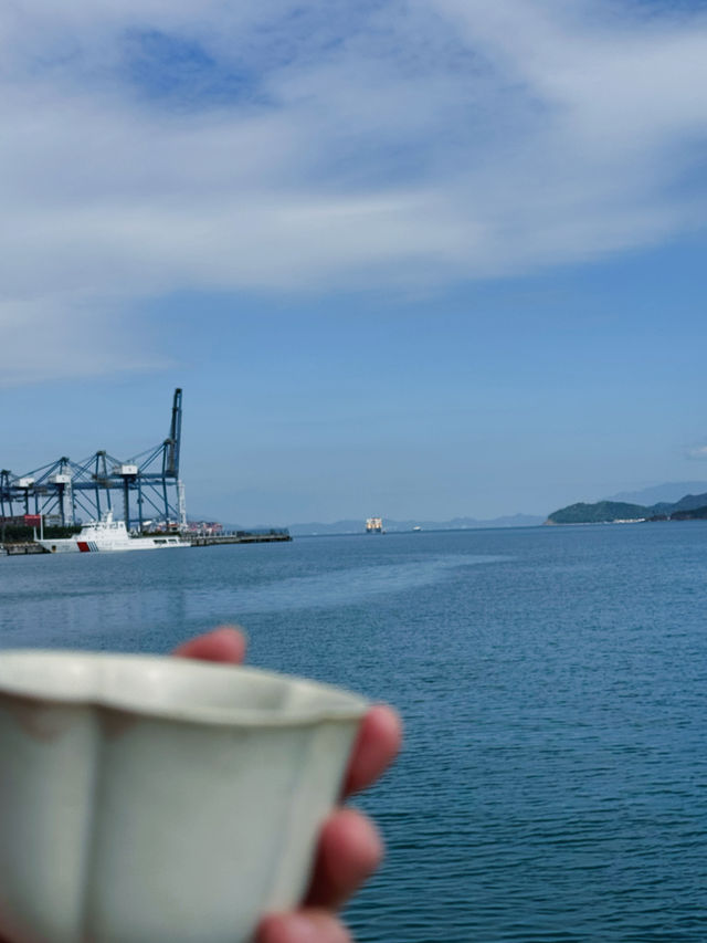 深圳海山地鐵站，見山見海。