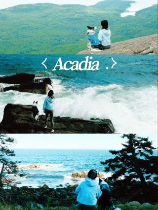 Day tour of Acadia National park 🇺🇸
