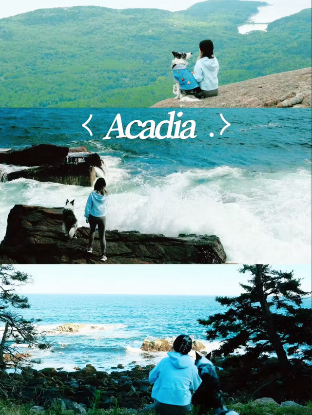 Day tour of Acadia National park 🇺🇸