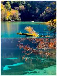 11-12月出遊必看國內7個最佳旅遊地，不去後悔一輩子。