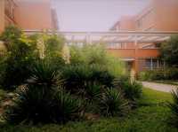 Mesmerising Park of Zhengzhou University