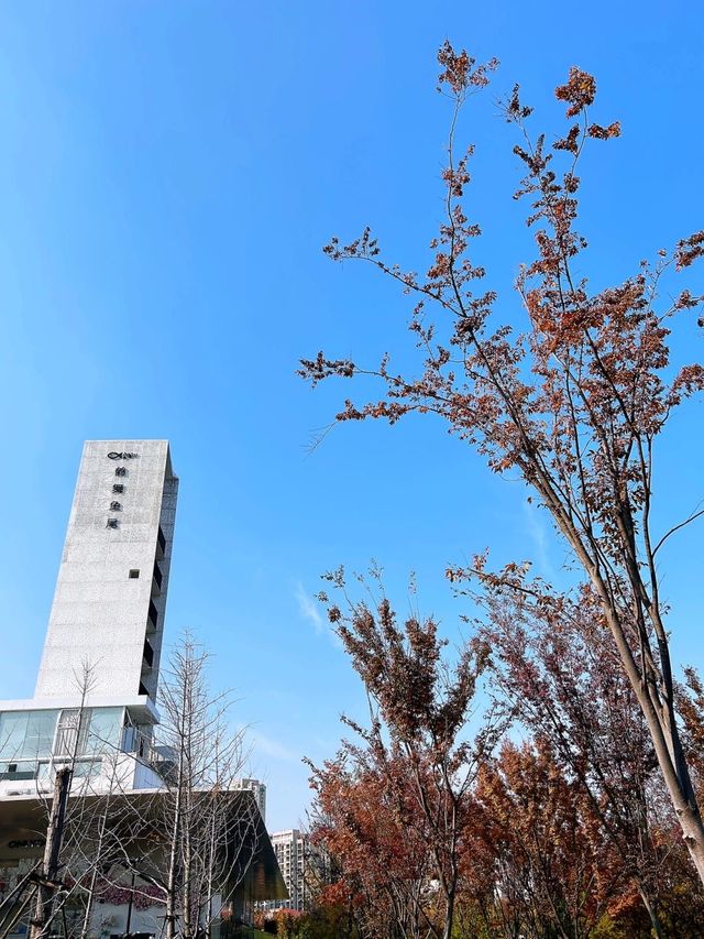 南昌魚尾洲濕地公園。