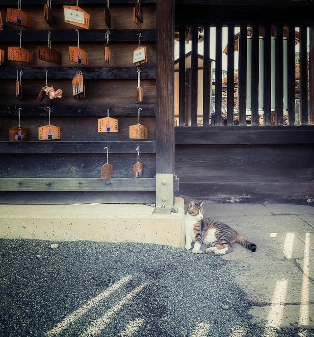 善光寺。