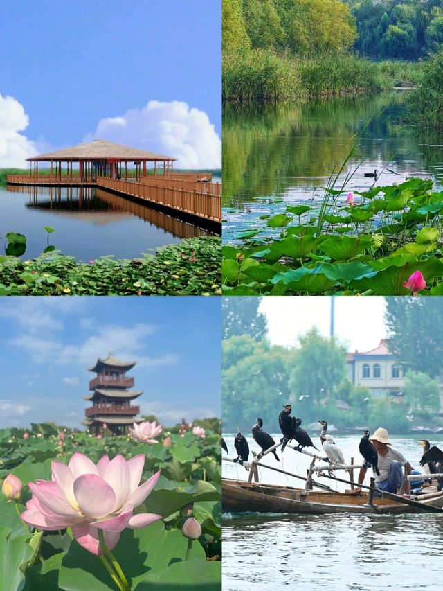 保定必打卡的6個景點你去過幾個呢。