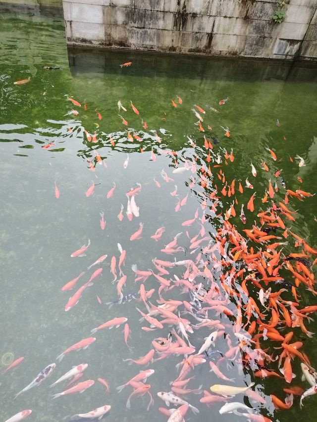 樓台煙雨中——重元寺。