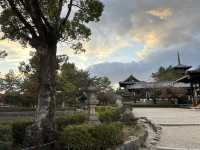 法隆寺——奈良的世界文化遺產。