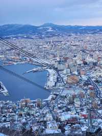 6天暢遊日本 熱門景點一網打盡。