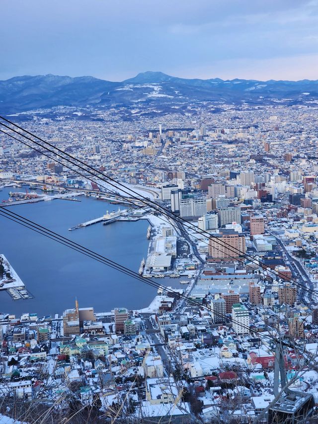 6天暢遊日本 熱門景點一網打盡。