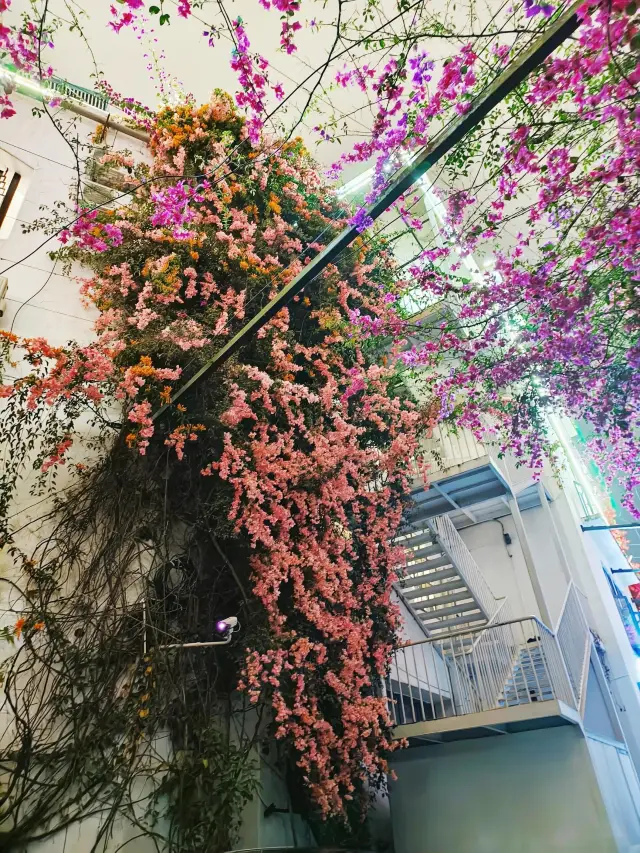 海埂大堤・昼はカモメ観察、夜は民宿で猫と戯れる