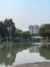 陳村新開發的公園！露營釣魚放風箏踩單車一園俱全