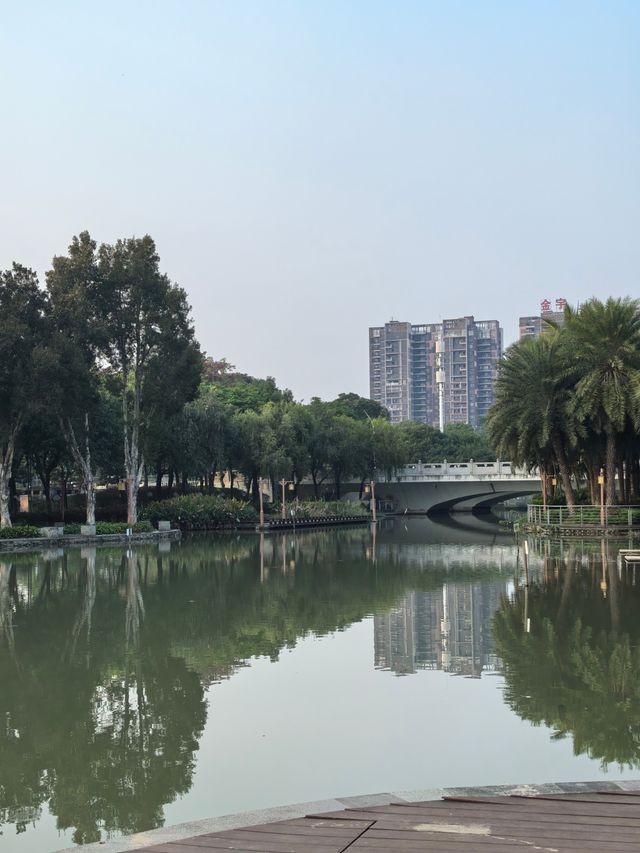 陳村新開發的公園！露營釣魚放風箏踩單車一園俱全