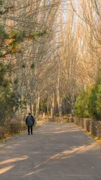 呼和浩特的青城公園冬天，美如畫卷般（附攻略）