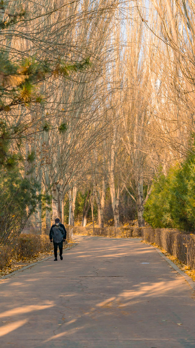 呼和浩特的青城公園冬天，美如畫卷般（附攻略）