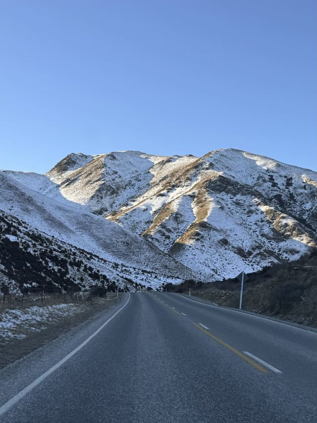 14日新西蘭冬遊 雪景美到哭別錯過