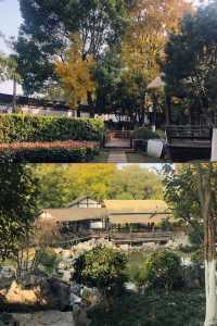 游玩江南園林｜南京愚園
