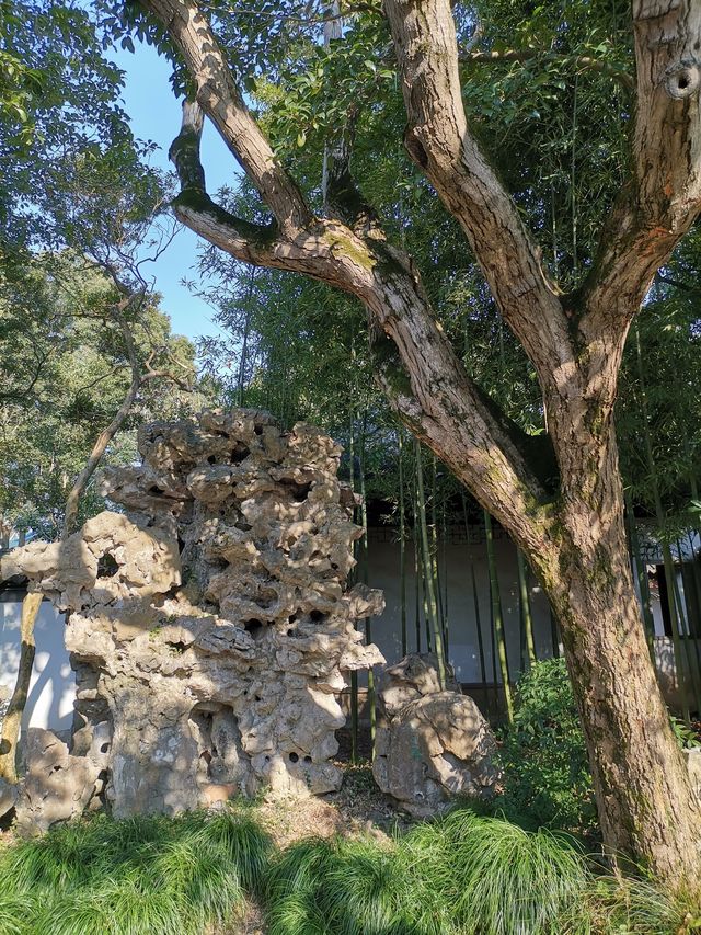 嘉定秋霞圃賞紅葉