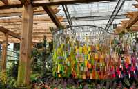 亞特蘭大植物園：一場自然與奇幻的邂逅