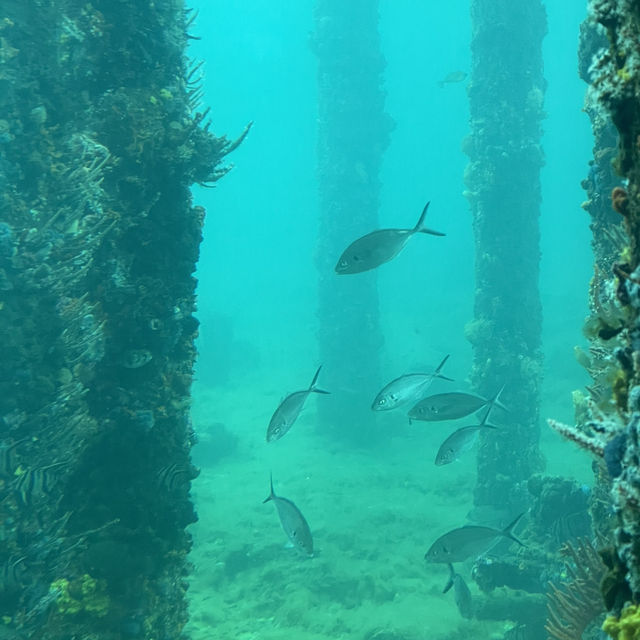 Not your everyday Jetty 