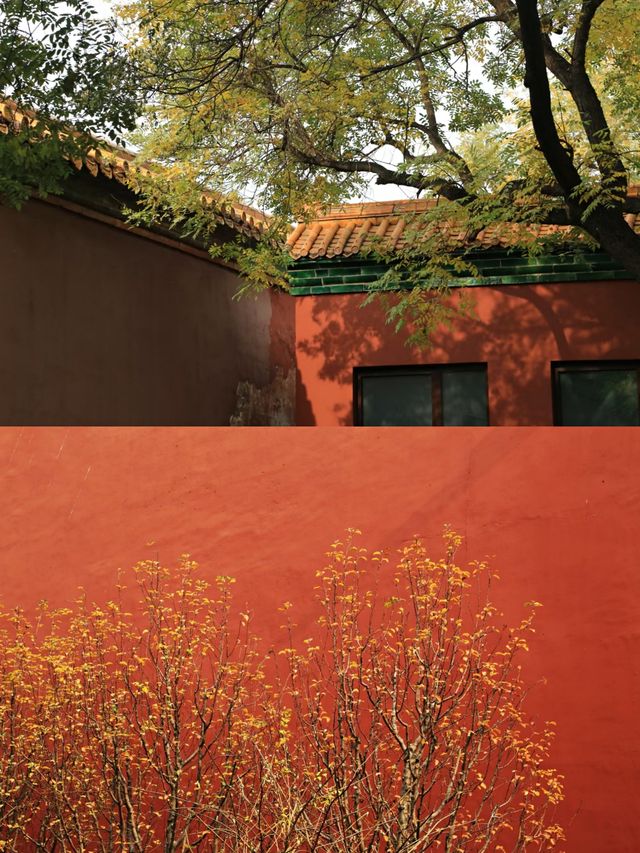 北京漢服體驗‖故宮拍照打卡避坑攻略