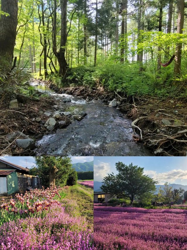 長野秘境漫遊記：解鎖日本山水間的詩意棲居