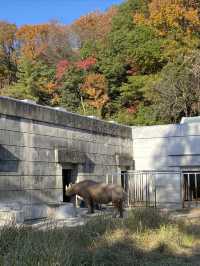 名古屋動物園的冬日暖陽