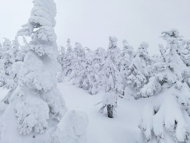 Exploring Nagano's Shiga Kogen Ski Resort: Yokoteyama & Shibutoge