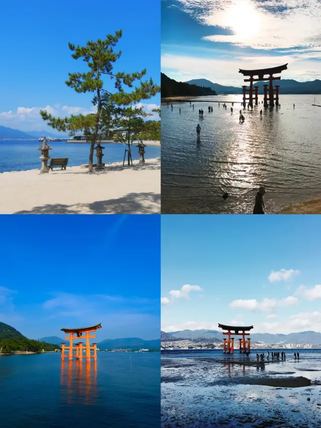 Hiroshima: A Dialogue Between Past and Present