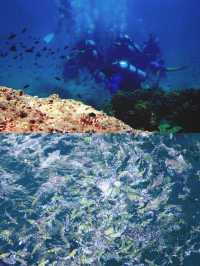 跟着我上天下海：蘭卡威潛水