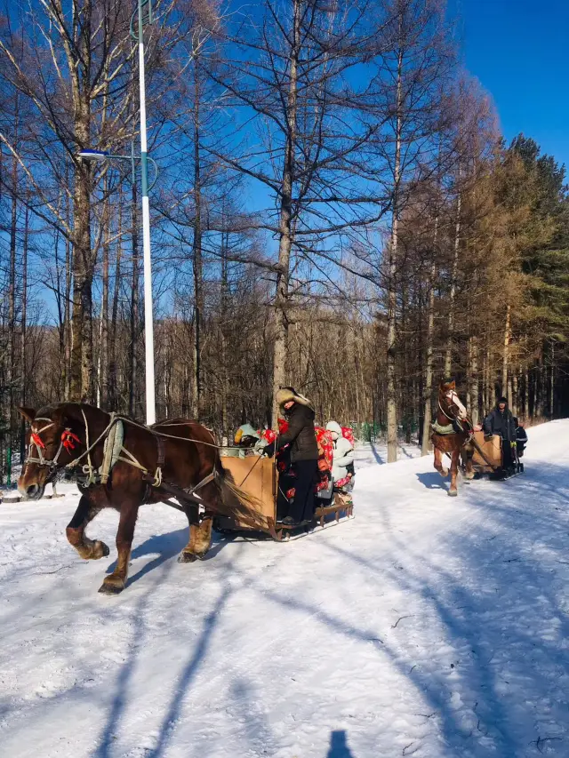 얼음과 눈의 환상 세계, 십리화랑