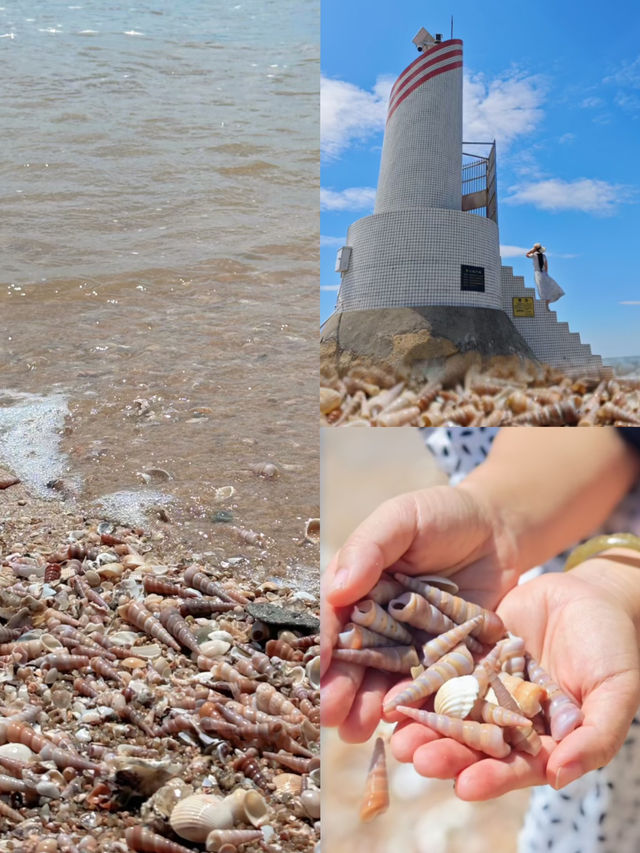 碼住春節去｜台山日遊詳細攻略（景點不花錢）