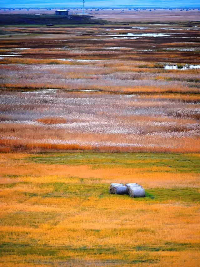 哈爾濱等地19日遊 超詳細攻略玩轉冰雪大世界