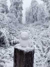 瓦屋山不止有雪