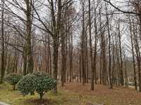九華山——大願文化園