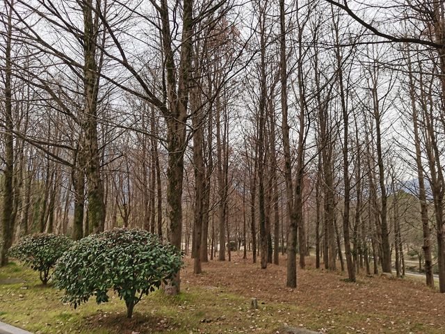 九華山——大願文化園
