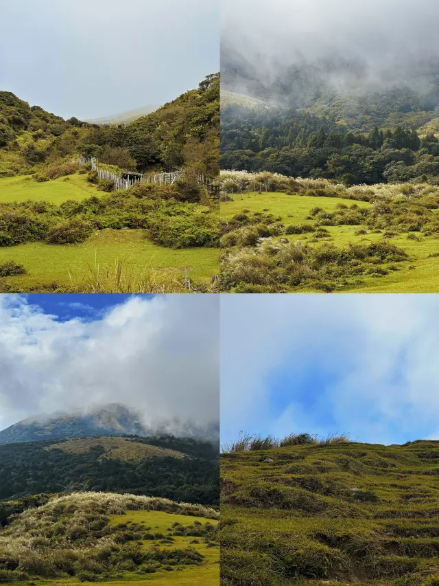 縱情台北:一場完美結合自然與文化的深度遊之旅