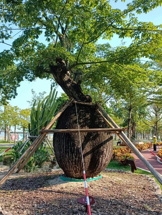 Zhuhai as A Honey Moon Destination: Coastal Line City of Lovers