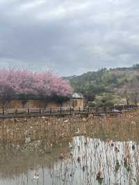 五天元宵節這樣玩轉福建❗️