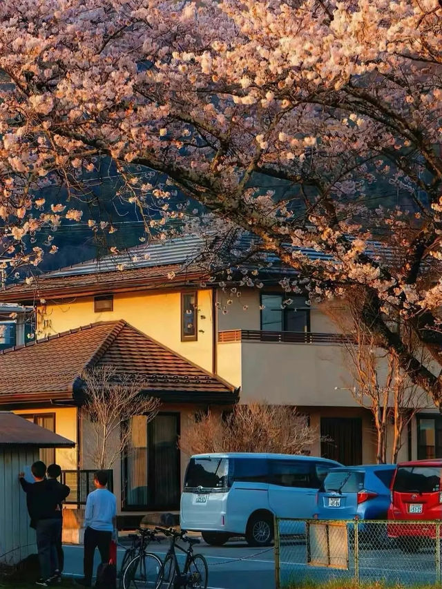 接下來日本的花，粉蝶藍：宮崎駿動畫裡的世界🪄