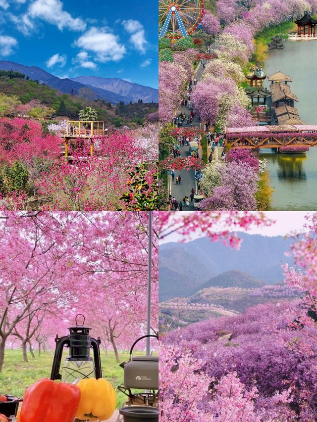 春天賞花必帶老婆去嘅浪漫城市