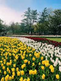 土耳其凱麥爾公園：自然與文化的完美邂逅