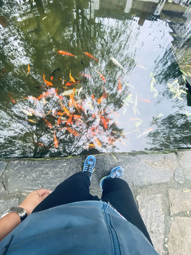 浙江湖州·長興古街-八都岕2/2