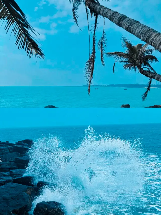 Zhanjiang: A Coastal Gem Beyond Imagination