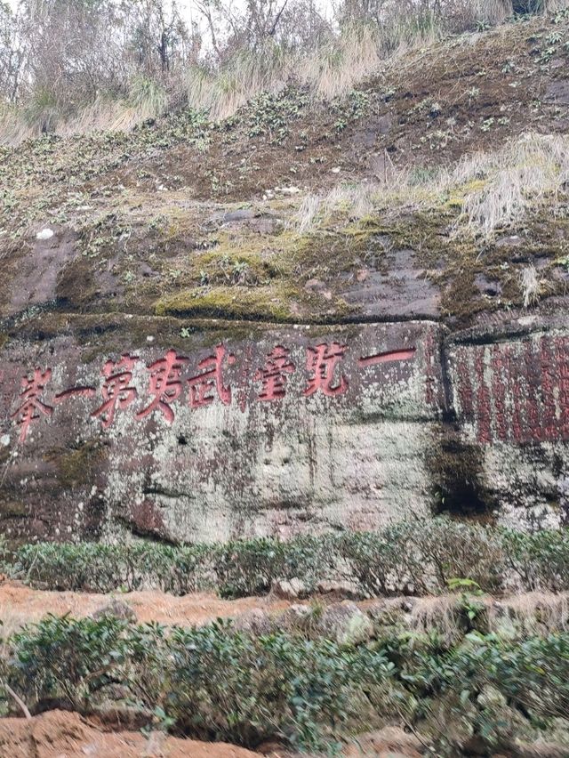 武夷山兩天遊